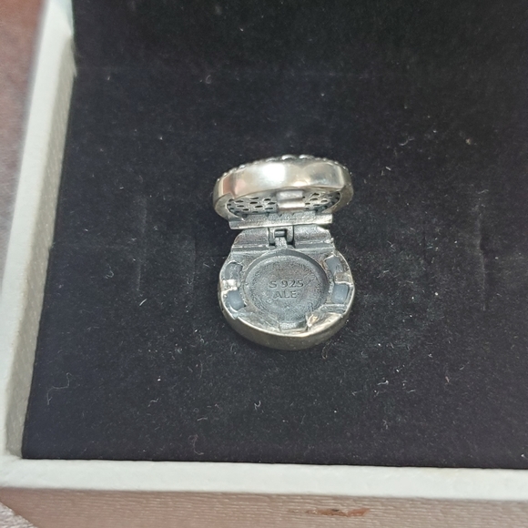 5 Reflections Pandora clips - Picture 5 of 5